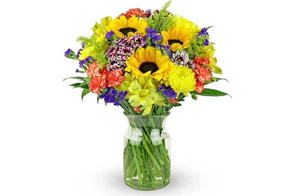 Benchmark Bouquets - Flowering Fields (Glass Vase Included) - Fresh Flowers for Delivery - Gift for Birthday, Anniversary, Sy
