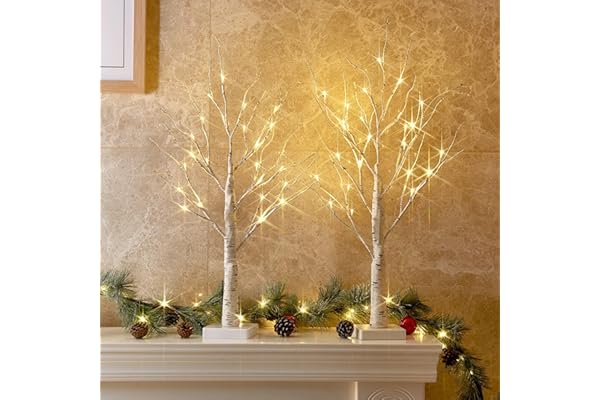 PEIDUO Christmas Decorations Indoor, 2 FT Birch Tree with LED Lights, Fairy Light Spirit Tree for Christmas Decor, Warm White