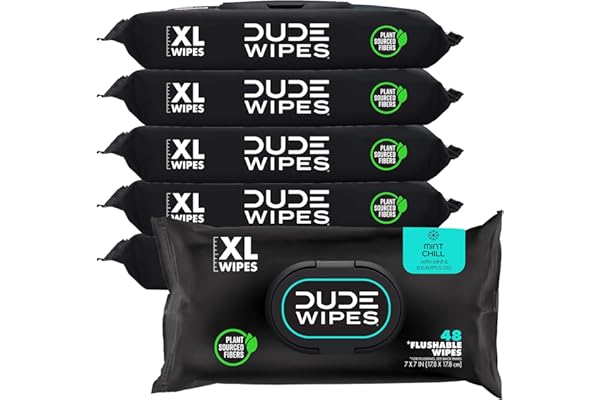DUDE Wipes - Flushable Wipes - 6 Pack, 288 Count - Mint Chill - Vitamin-E, Aloe, Eucalyptus & Tea Tree Oils - Septic and Sewe