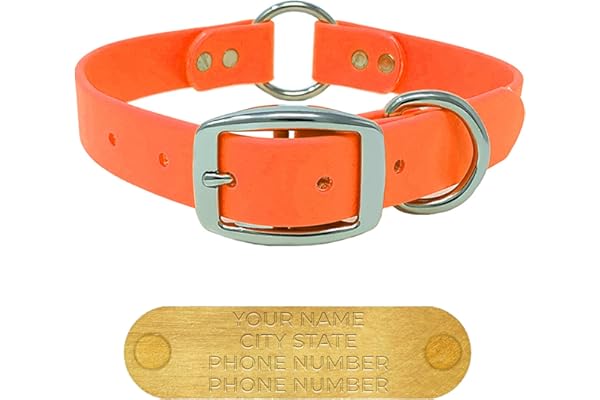 Regal Dog Products Large Orange Dog Collar with Custom Engraved Name Plate - Custom Fit, Resistant, Easy to Clean Biothane Wa