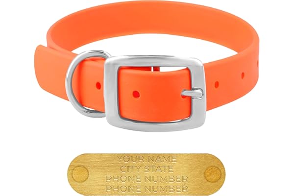 Regal Dog Products Medium Orange Waterproof Dog Collars with Custom Engraved Name Plate | Vinyl Coated, Anti, Easy to Clean P