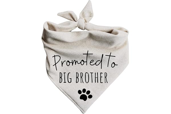 Dog Bandanas Promoted to Big Brother Pregnancy Announcement Baby Reveal Oatmeal Beige Minimal (Large)