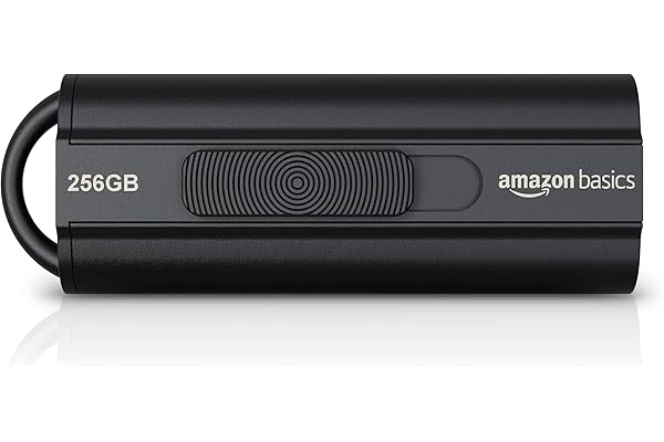 Amazon Basics 256 GB Ultra Fast USB 3.1 High Capacity Flash Drive for Data Transfer and Storage, Black