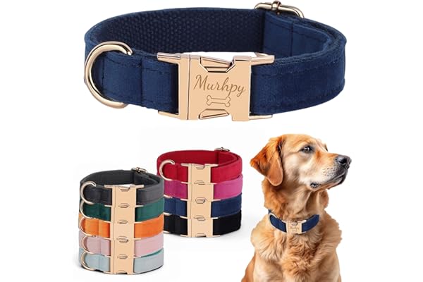 Velvet Harness Set, Gift for Pet Owners, Custom Dog Collar Personalized Name and Phone Number, Custom Collar Leash for Dogs,