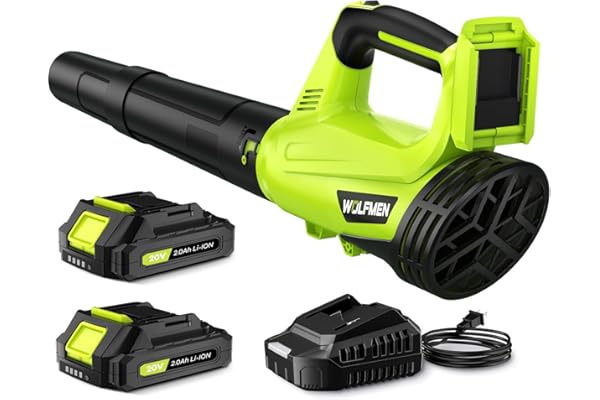 Leaf Blower, Electric Cordless Leaf Blower with 2 Batteries and Charger, 2 Speed Mode, Lightweight Cordless Blower for Blowin